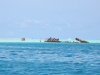 Maldive 2012 136.jpg